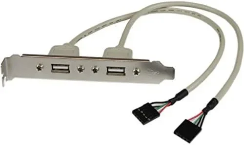 Adaptador de Placa USB A Hembra de 2 puertos