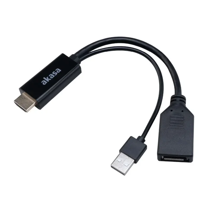 Akasa HDMI zu DisplayPort Adapater Kabel – schwarz – Kabel – Digital/Display/Video cable HDMI 250 m HDMI tipo A (Estándar) Negro