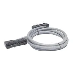 APC – Cable de distribución de datos (6 conectores RJ-45 a 6 conectores RJ-45, Cat5e, UTP, CMR, 5,7 m), color gris