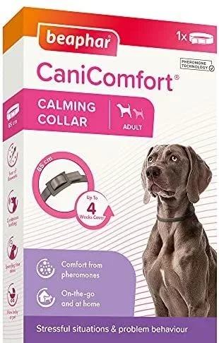 Beaphar Collar calmante CaniComfort para Perros Adultos (hasta 65 cm), Proporciona Apoyo Continuo a Perros ansiosos y nerviosos, Comienza a Trabajar en 15 Minutos, Ayuda a aliviar el Miedo a los