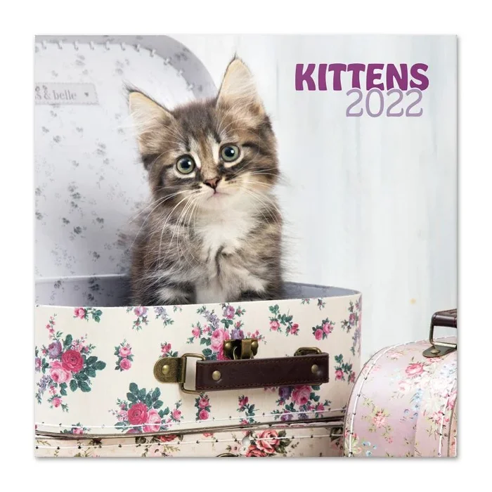 Calendario 2022 30×30 chantrenne cat