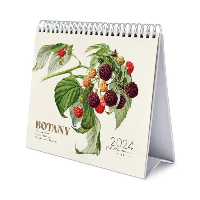 Calendario de escritorio deluxe 2024 botany