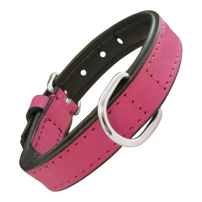 Collar para perro gloria acolchado fucsia (50 x 2,5 cm)