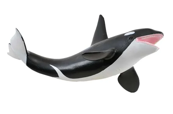 Collecta- Semental Andaluz Gris XL Animales, Multicolor (88464)