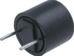 Fusible Rapido Miniatura RFS-1,25Amp R5,08mm