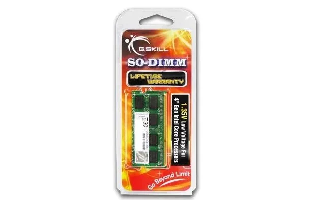 G. Skill 8 GB DDR3 – 1600 8 GB DDR3 1600 MHz Memoria
