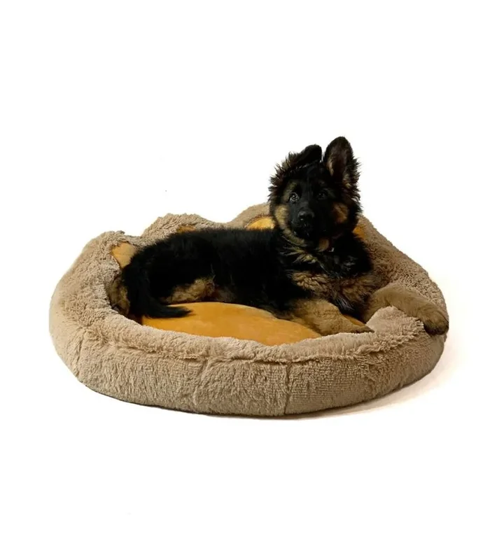 Gogift cama con estampado de patas de camello xxl 85 x 85 cm