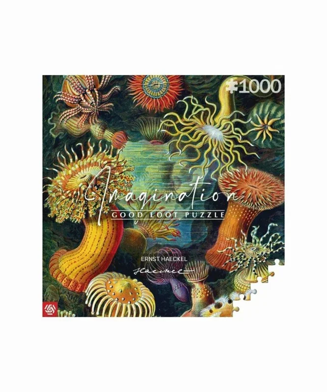 Good Loot Rompecabezas Serie Imagination Ernst Haeckel Sea Anemones – Rompecabezas clásicos – Arte de rompecabezas con imagen de 1000 piezas – Rompecabezas para adultos – Rompecabezas Arte 1000 piezas