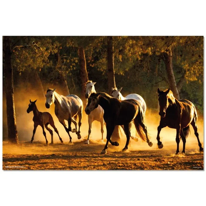 Grupo Erik – Póster Caballos Andaluces