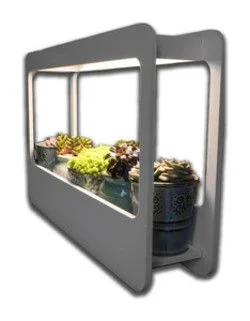 Kit De Crecimiento De Plantas Para Uso Interior