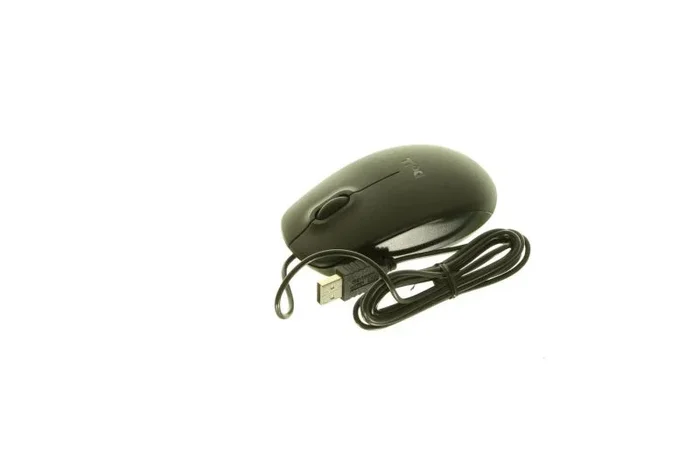 Kit.SW.PDVD.8.3.TT