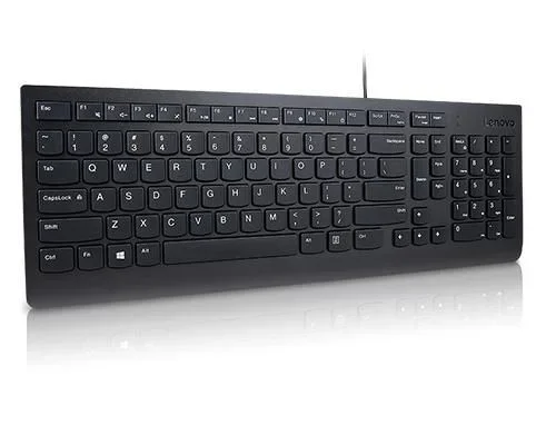 Lenovo Essential teclado Universal USB Danés Negro