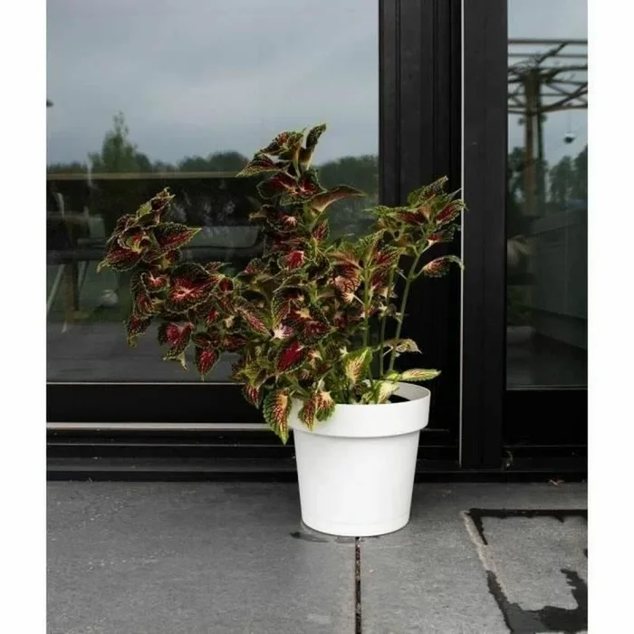 Maceta Autorriego Garden ID Blanco – Marca: Garden ID – EAN: 5410527160579