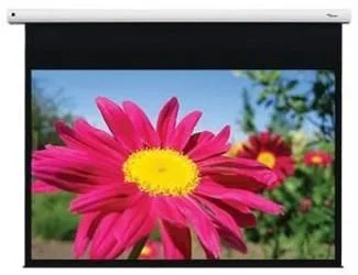 Optoma DE-1095EGA pantalla de proyección 2,41 m (95″) 16:10
