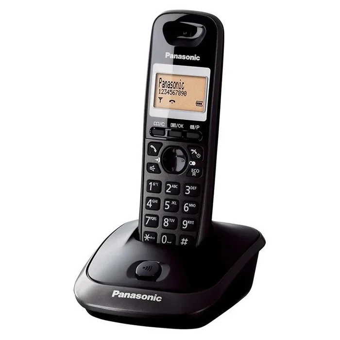 Panasonic KX-TG2511JTT teléfono Teléfono DECT Identificador de llamadas Titanio