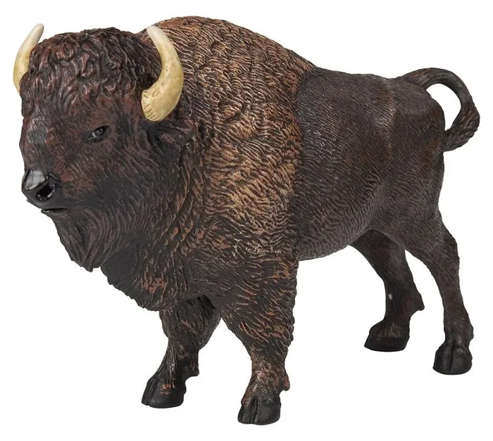 Papo American buffalo