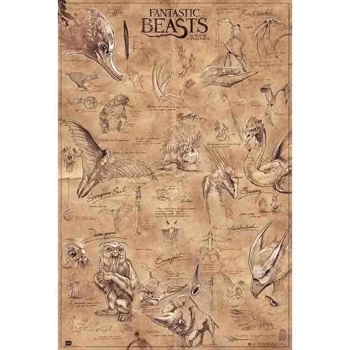 Poster animales fantasticos animals