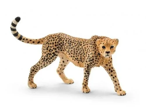 Schleich – wild life female cheetah