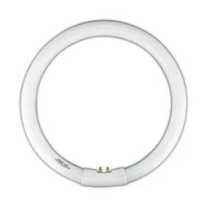 Tubo Fluorescente Circular T5 22W Luz Día