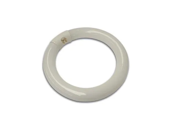 Velleman Tubo Fluorescente Circular T4 de 22 W, Bombilla de Repuesto para lámpara de Aumento, lámpara de Escritorio, luz Diurna Blanca fría de 6500 K, antideslumbrante, 900 lúmenes, luz de Trabajo